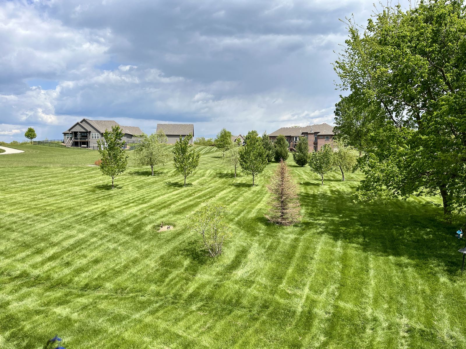 Raised Vegetable Garden — the empty backyard before any work started