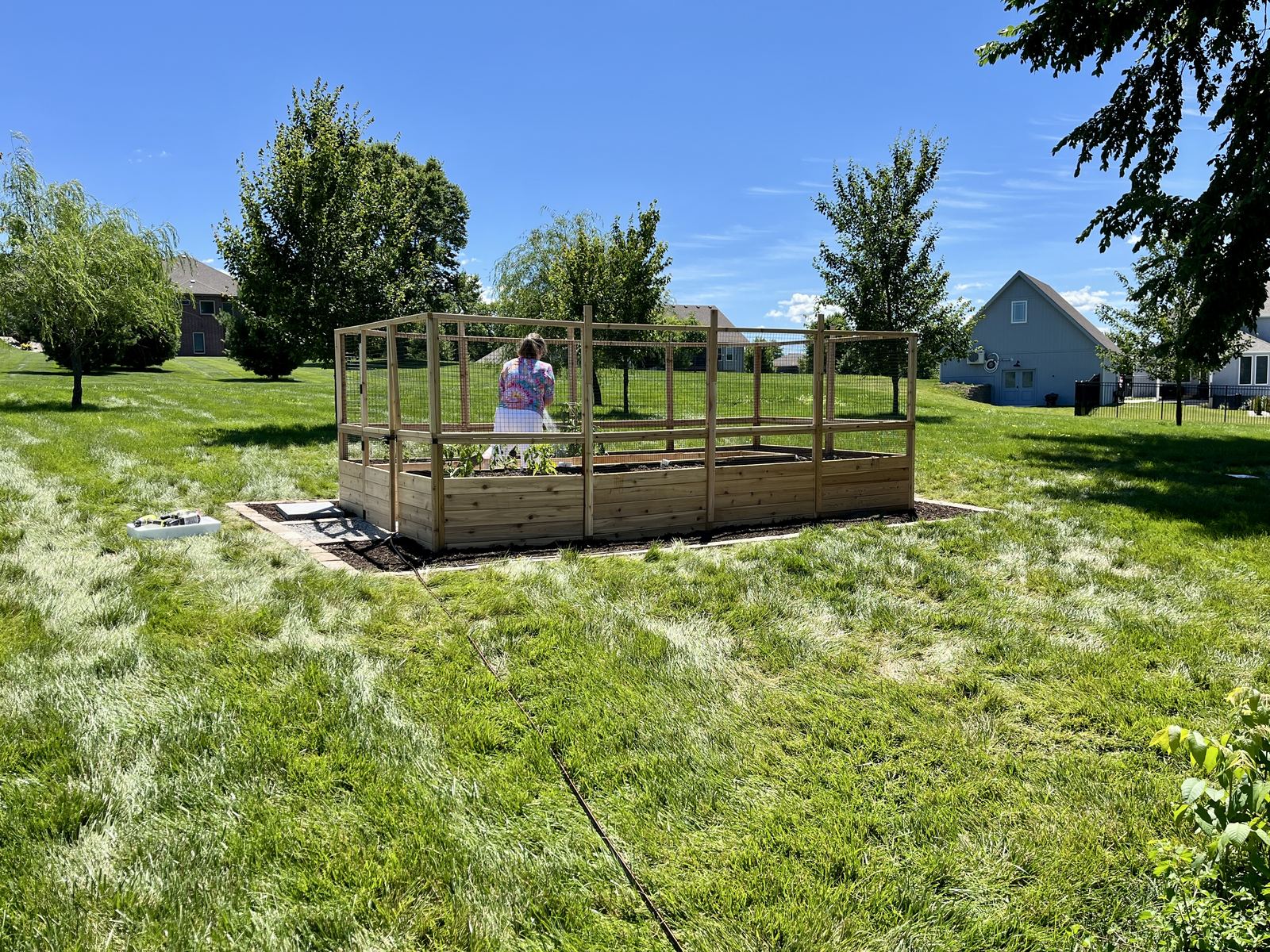 Raised Vegetable Garden — the completed bed shortly after planting