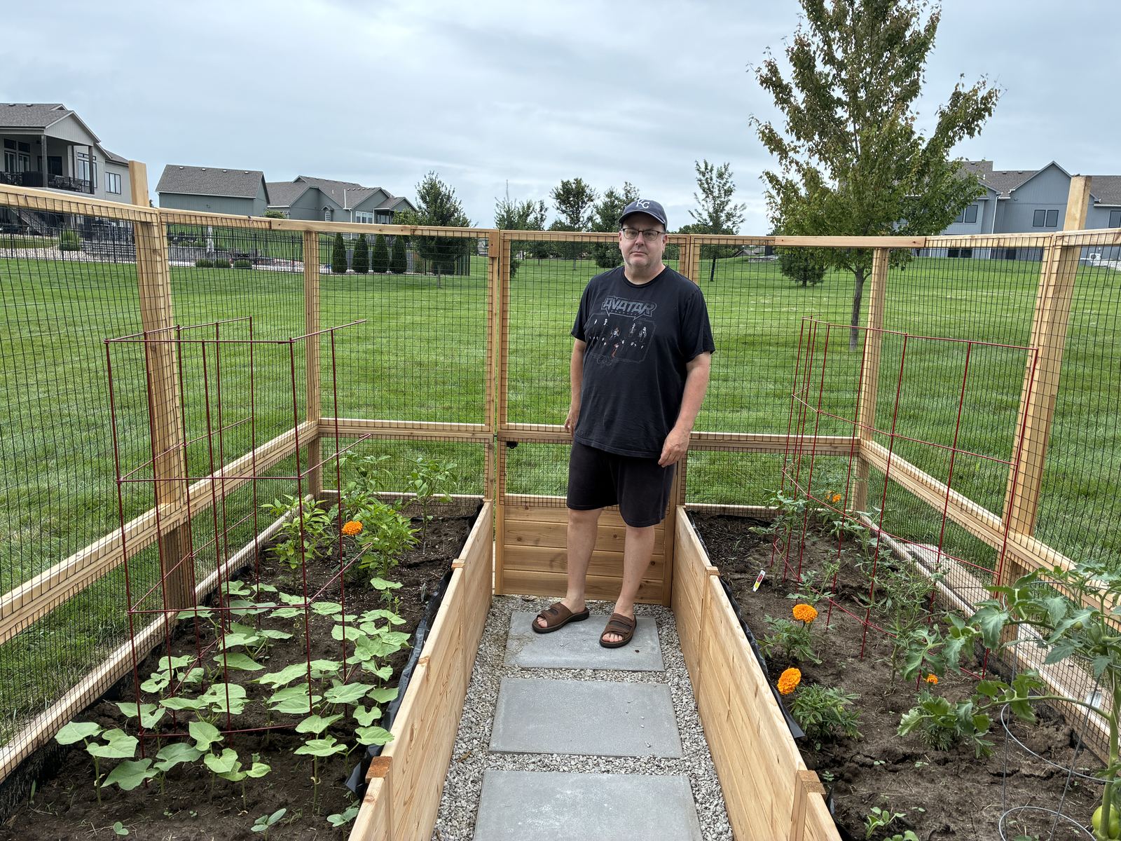 Raised Vegetable Garden — standing inside the bed in late summer, plants fully grown in